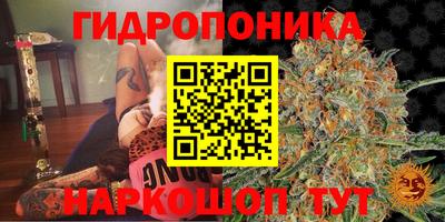 прущие крисы Ливны