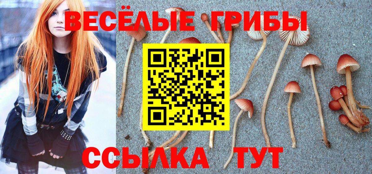 Галлюциногенные грибы ЛСД  даркнет сайт  Усть-Илимск  Вход с VPN 
